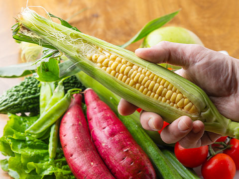 野菜